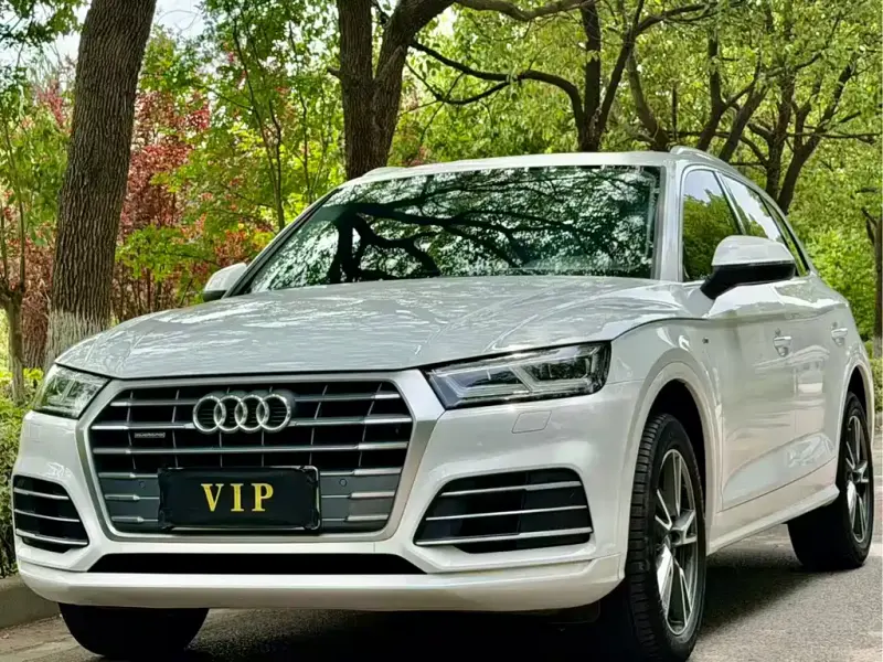 Audi Q5L, 2019