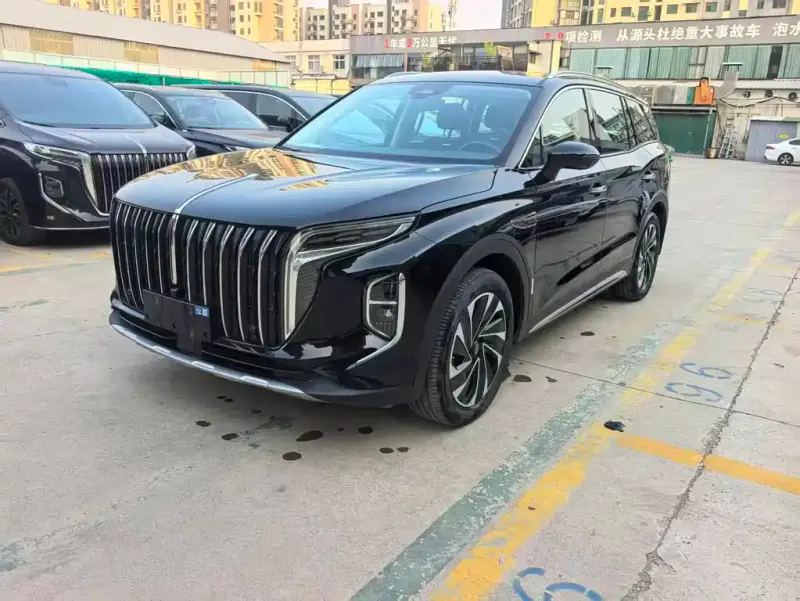 Hongqi HS7 PHEV, 2024 — фото 1