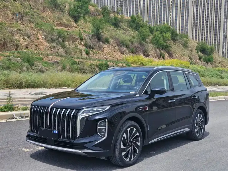 Hongqi HS7 PHEV, 2024 — фото 1