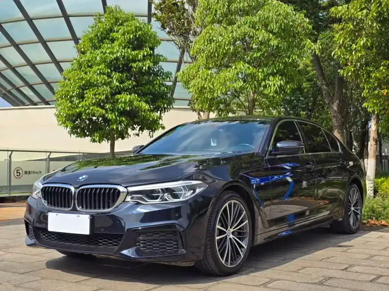 BMW 5 Series, 2020