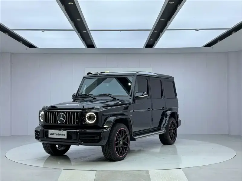Mercedes-Benz G-Class, 2010 — фото 1