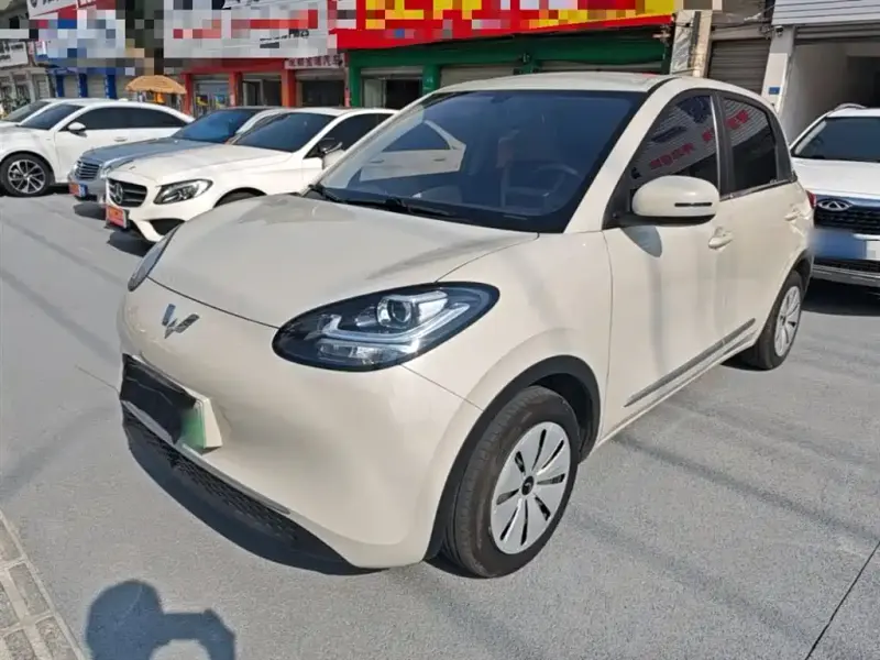 Wuling Bingo, 2024