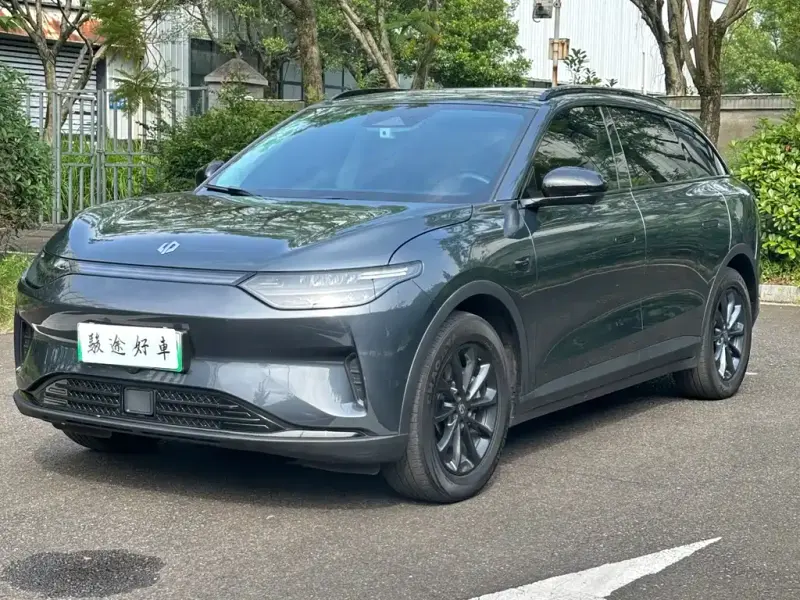 Leapmotor C11, 2024