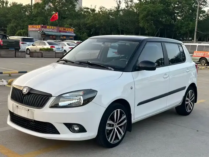 Skoda Fabia, 2014 — фото 1