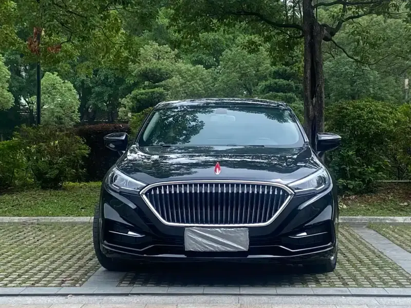 Hongqi H5, 2019