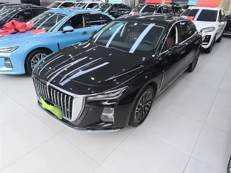 Hongqi H5, 2024