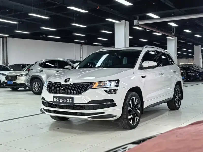 Skoda Karoq, 2022