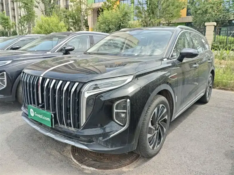 Hongqi HS7 PHEV, 2024 — фото 1