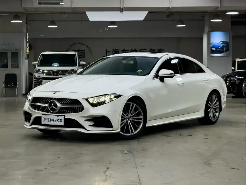 Mercedes-Benz CLS, 2020 — фото 1