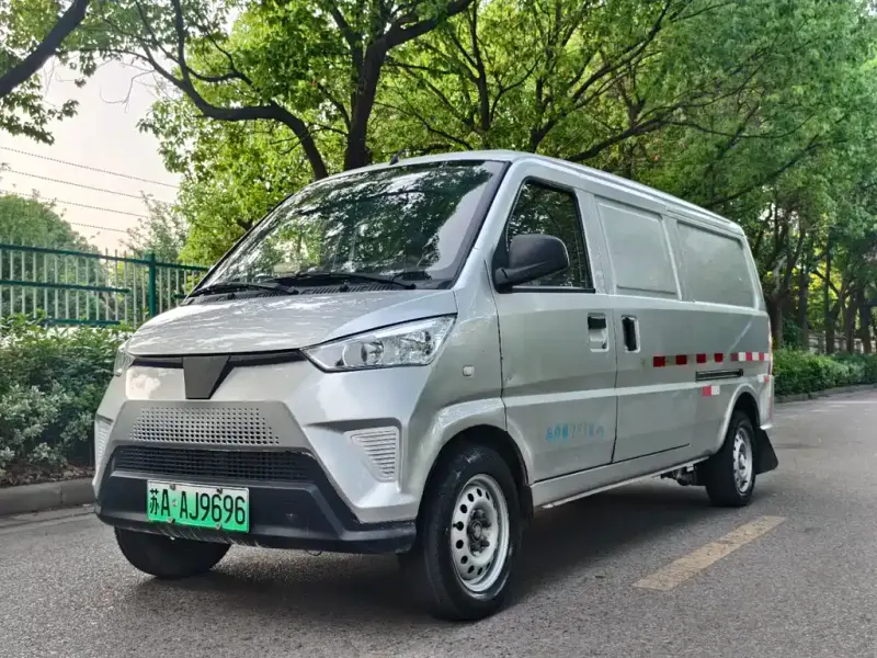 Wuling EV50, 2020