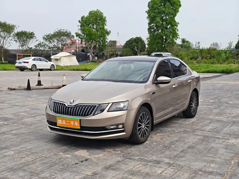 Skoda Octavia, 2019 — фото 1