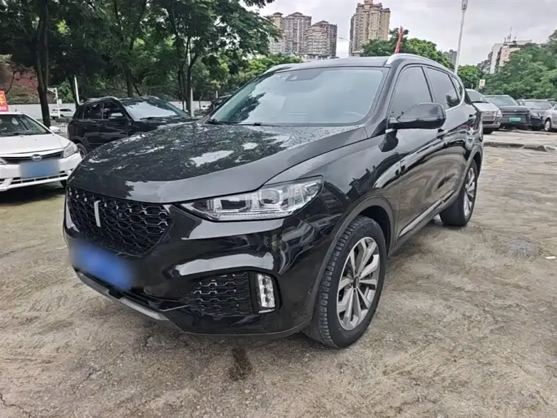 Wey VV6, 2019