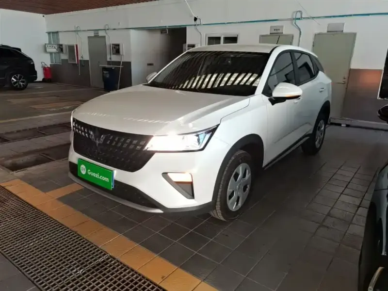 Wuling Xingchi, 2023