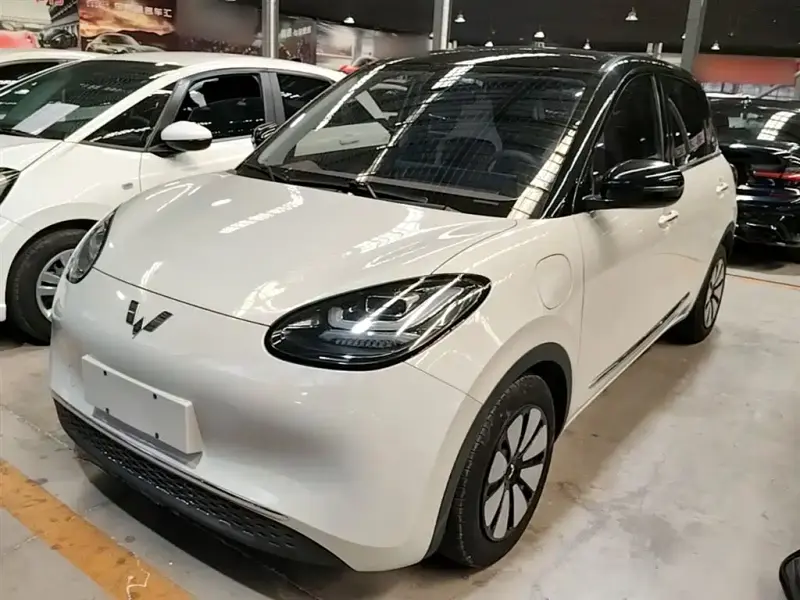 Wuling Bingo, 2023