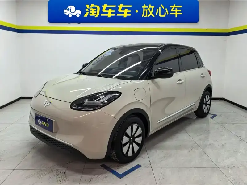 Wuling Bingo, 2023