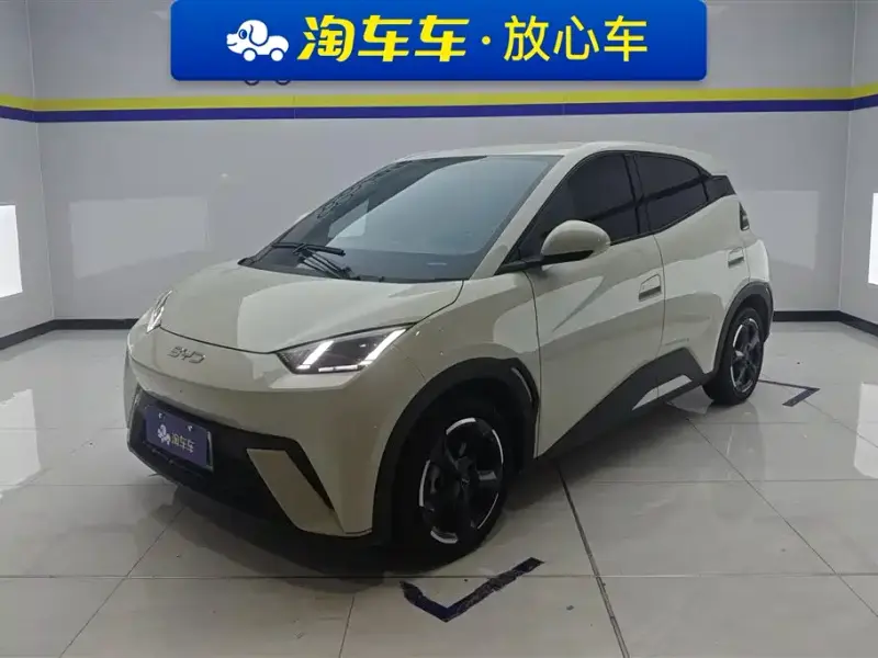 BYD Seagull, 2024