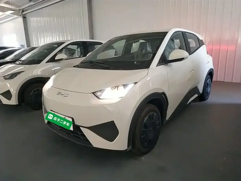 BYD Seagull, 2026
