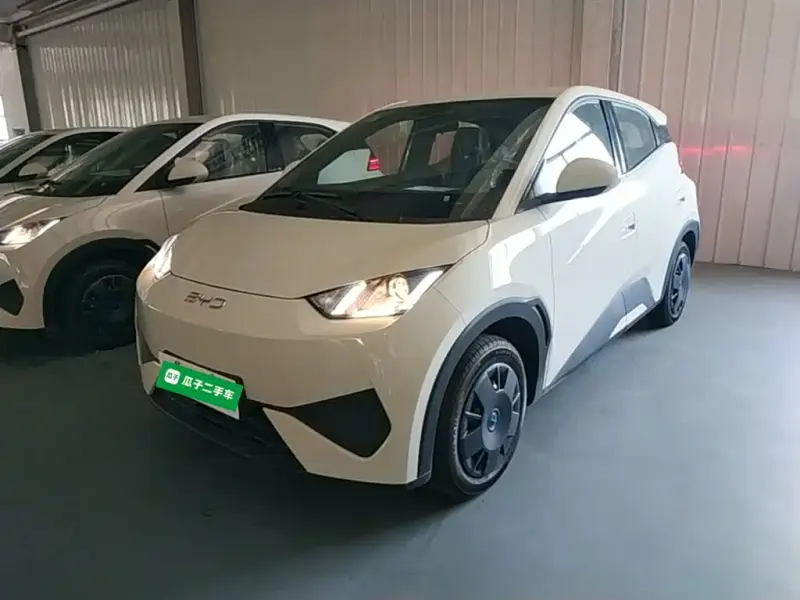 BYD Seagull, 2026