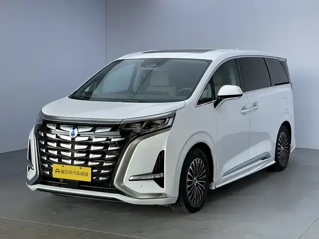 Denza D9, 2025