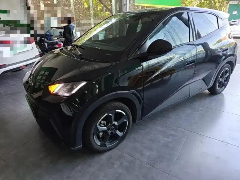 BYD Seagull, 2023