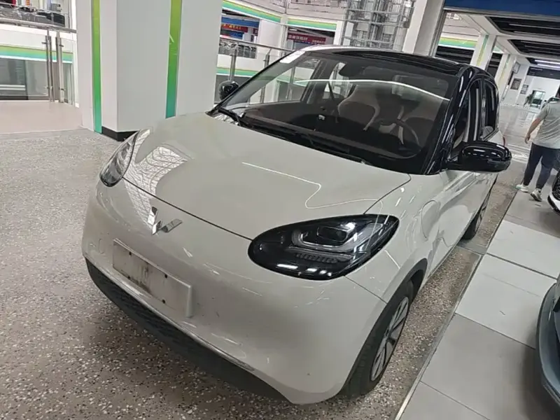 Wuling Bingo, 2024