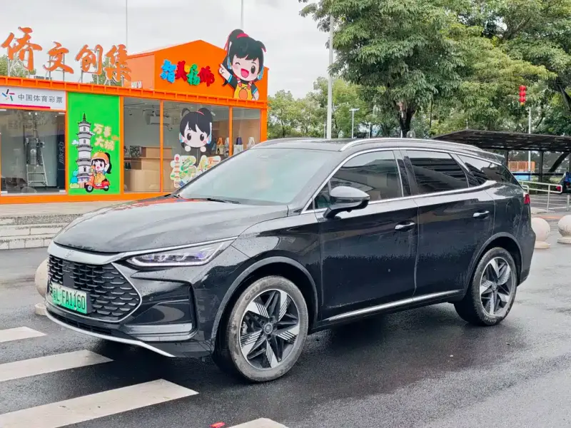 BYD Tang New Energy, 2024