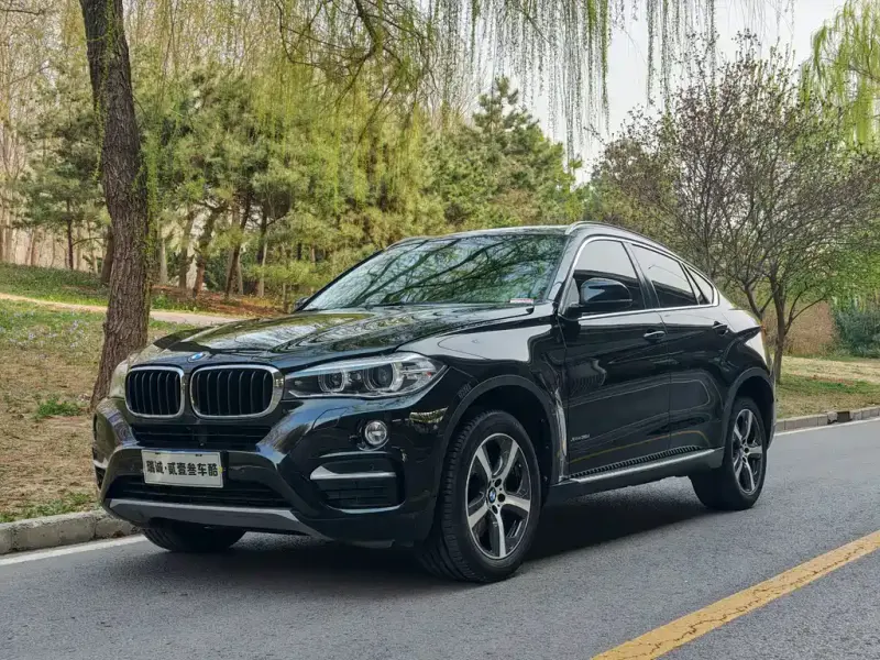 BMW X6, 2015
