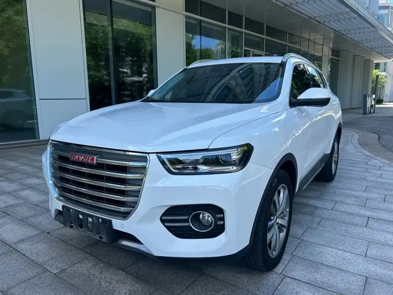 Haval H6, 2017 — фото 1