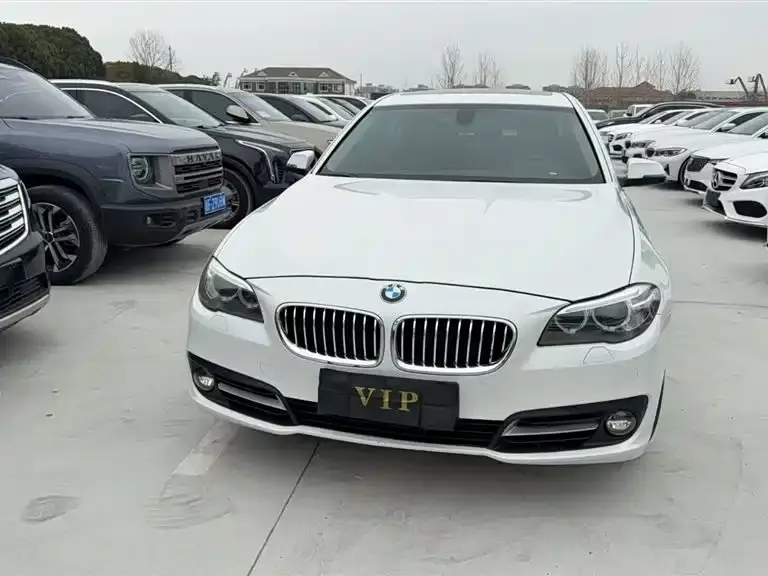 BMW 5 Series, 2014