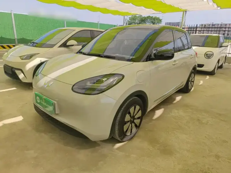 Wuling Bingo, 2024