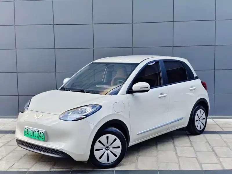 Wuling Bingo, 2023