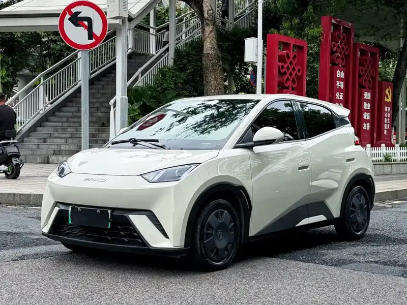 BYD Seagull, 2024