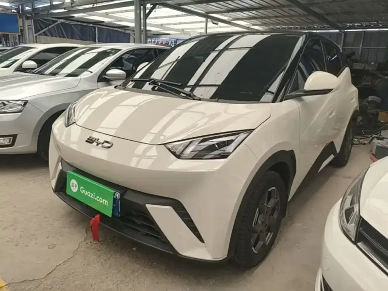 BYD Seagull, 2024