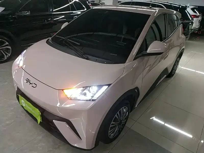 BYD Seagull, 2024