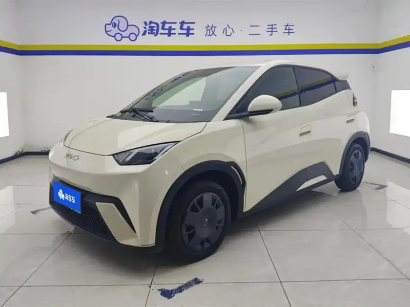 BYD Seagull, 2024