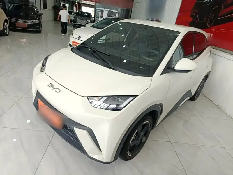 BYD Seagull, 2024