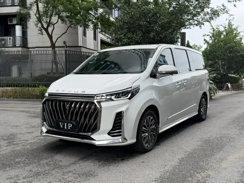 Maxus G20, 2024