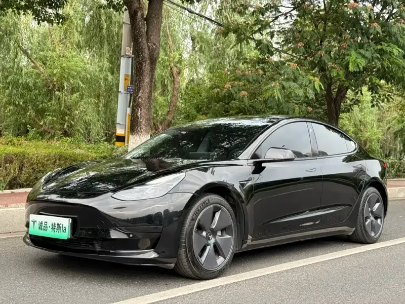 Tesla Model 3, 2023