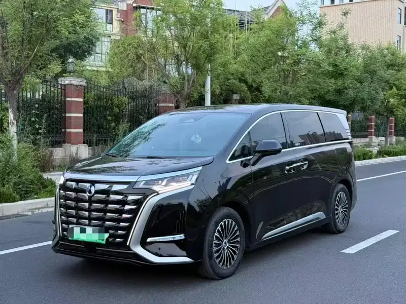 Denza D9, 2025