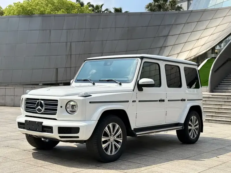 Mercedes-Benz G-Class, 2019 — фото 1