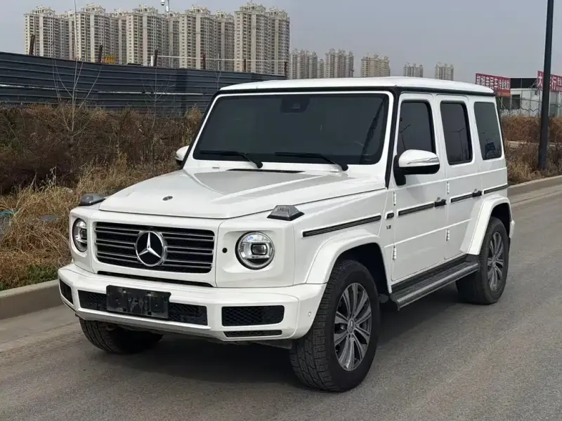 Mercedes-Benz G-Class, 2020 — фото 1
