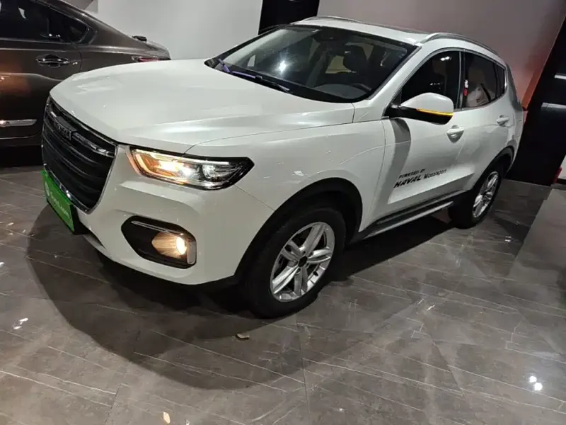 Haval H4, 2019