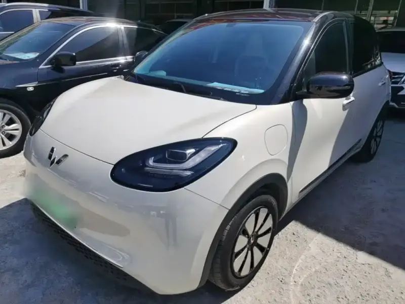 Wuling Bingo, 2025
