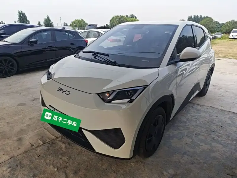 BYD Seagull, 2025