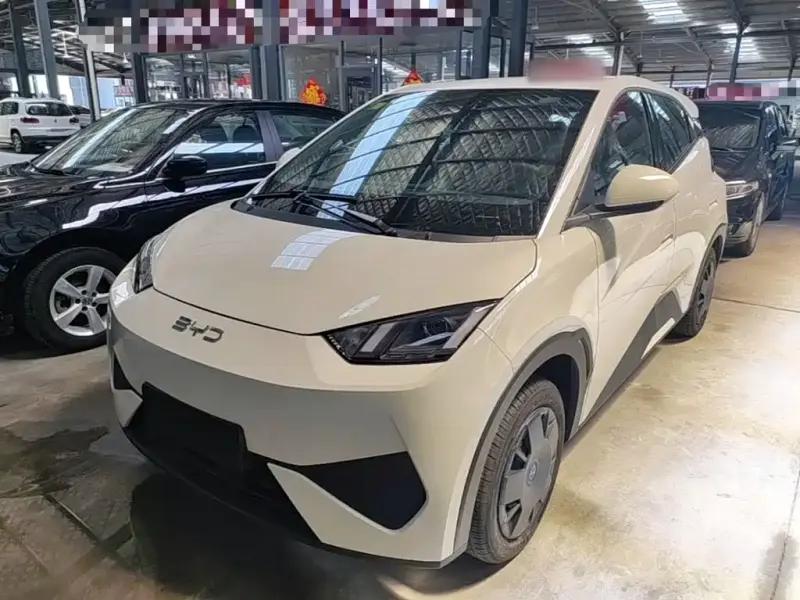 BYD Seagull, 2026