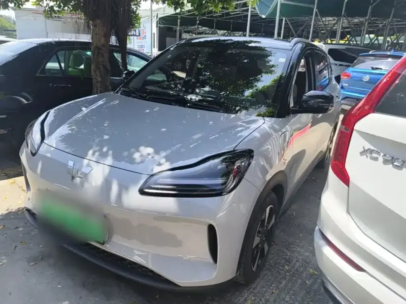 Wuling Bingo PLUS, 2024