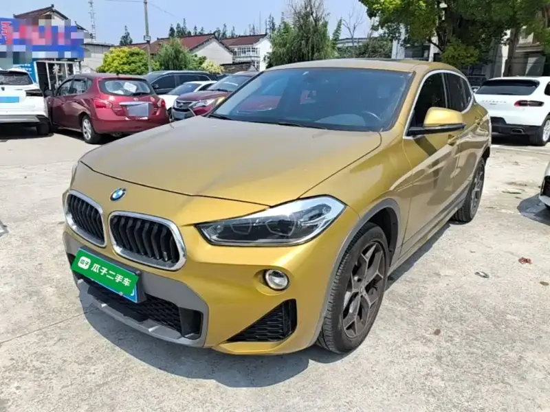 BMW X2 (Import), 2019 — фото 1