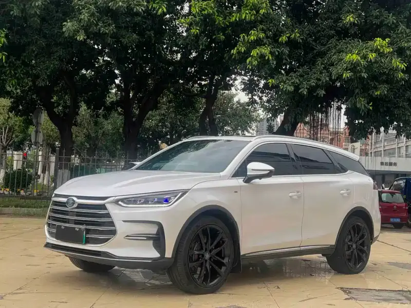 BYD Tang New Energy, 2021