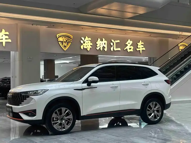 Haval H6, 2023 — фото 1