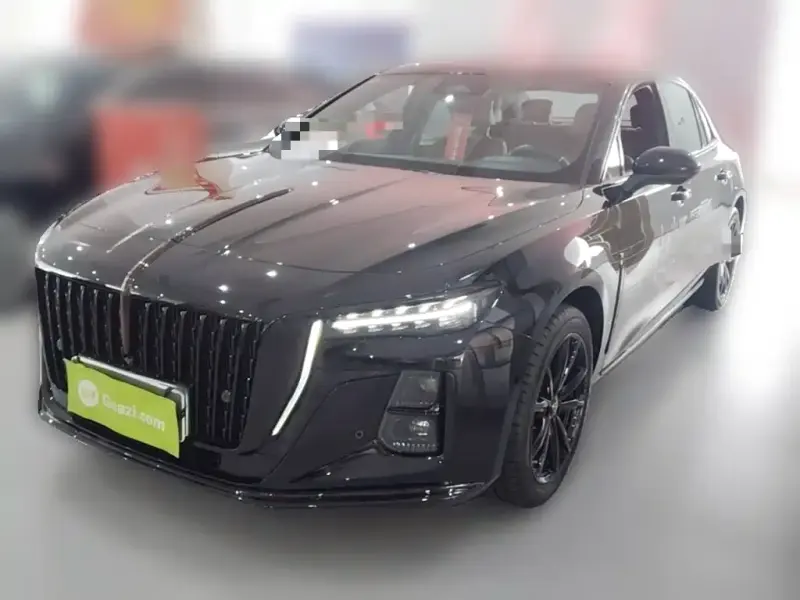 Hongqi H5, 2024